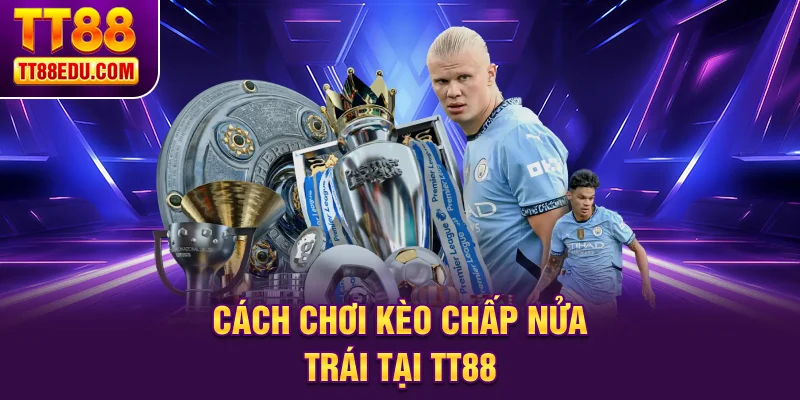 Cách chơi cược chấp nửa trái tại TT88